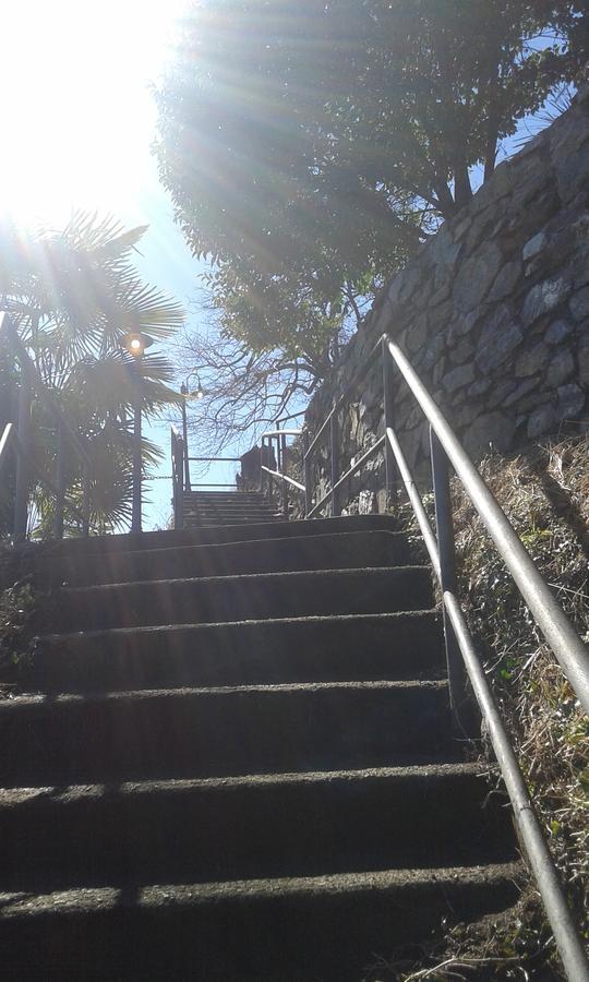 Il Nido Sul Lago Stresa Ngoại thất bức ảnh